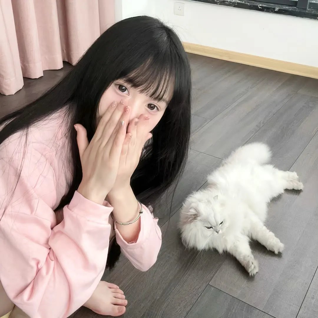 伊拉克碎片